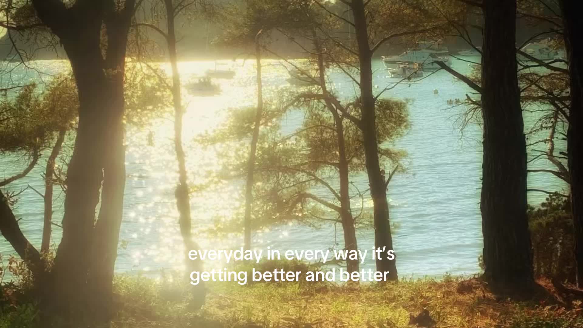 @️🪽