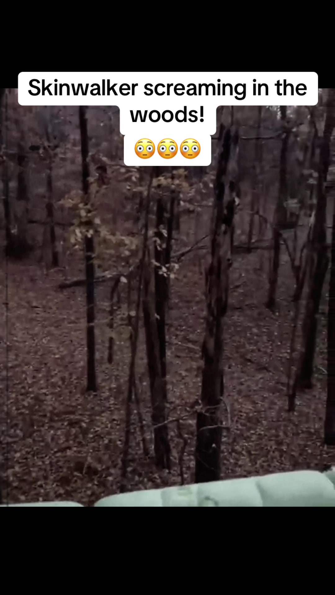 @Creepychronicles