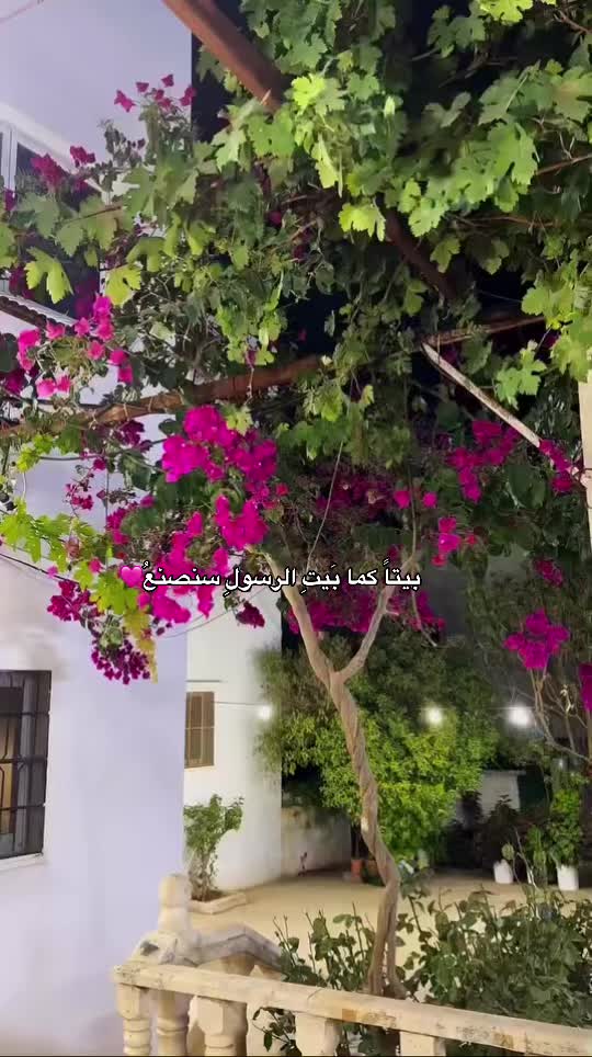 @donia abde