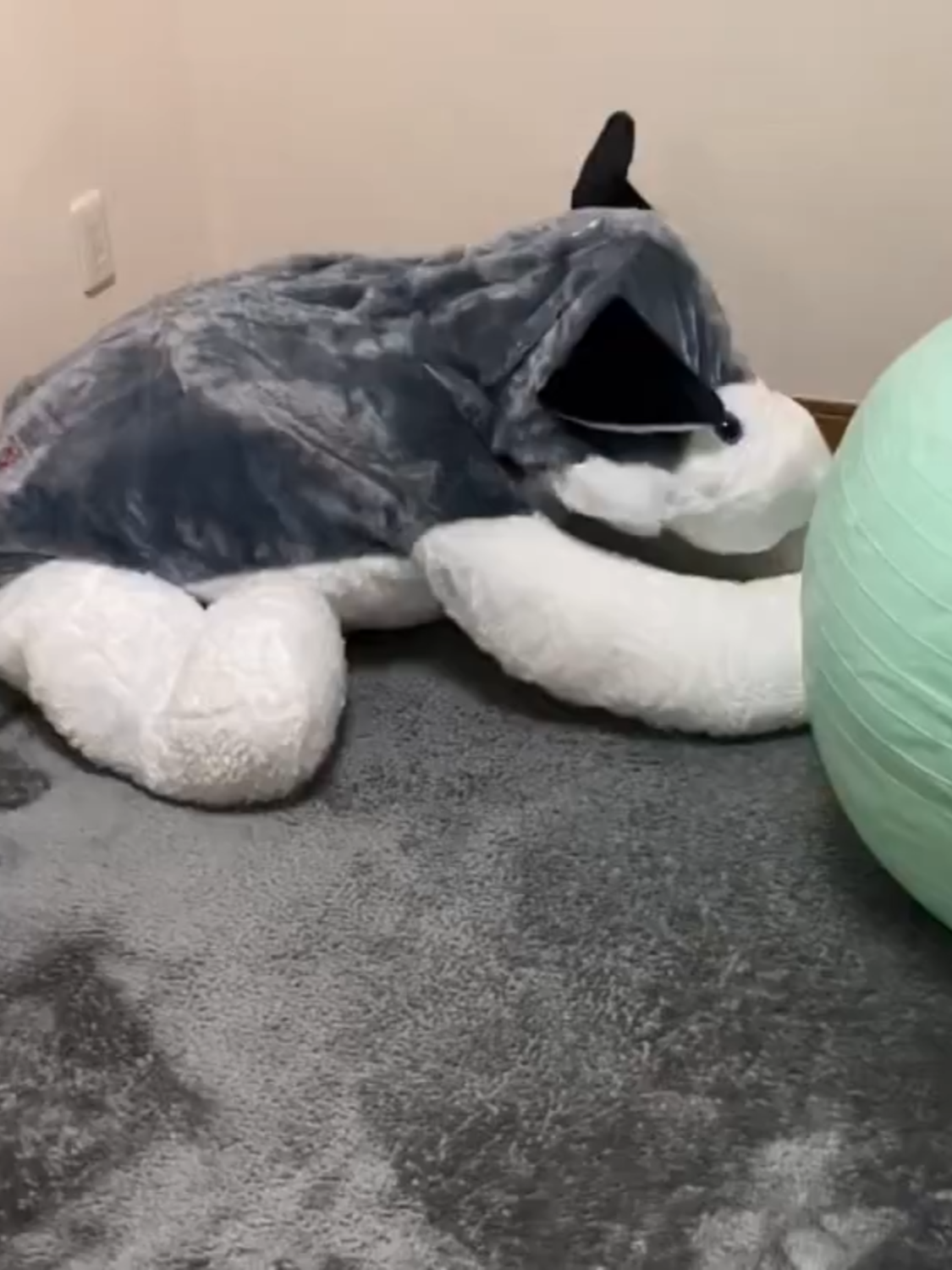 @radywolf