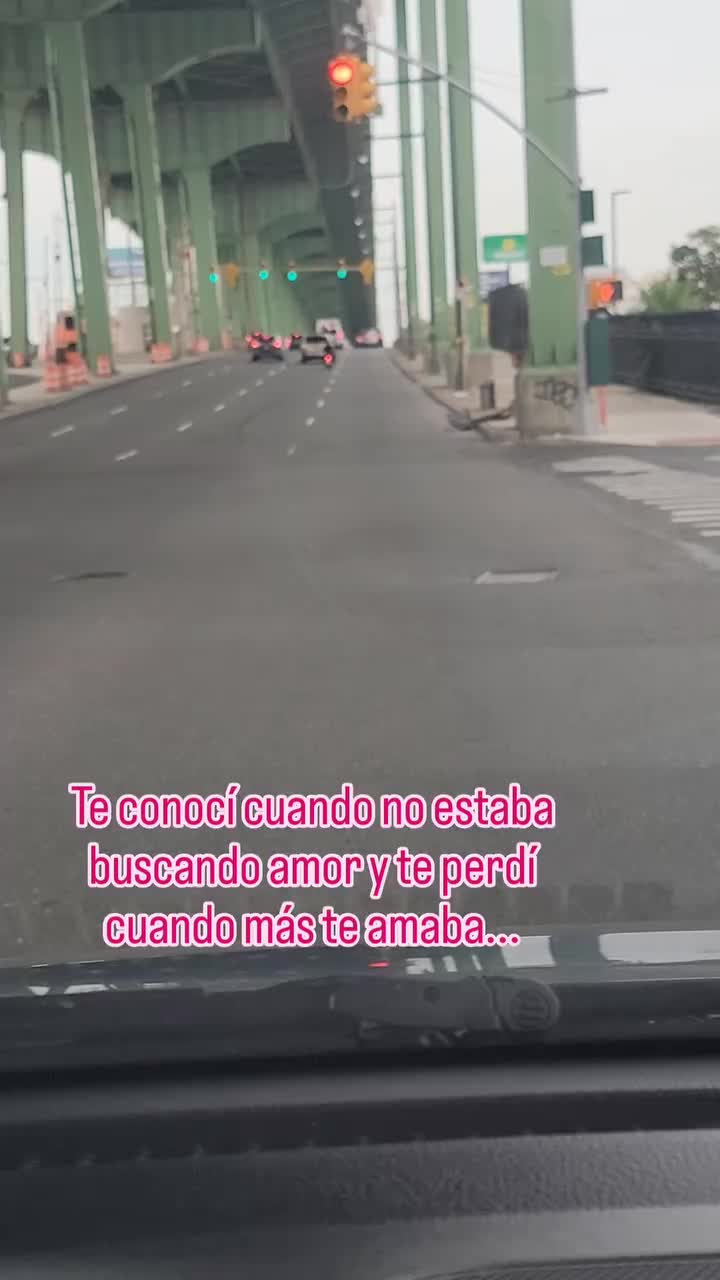 @el panda solitario