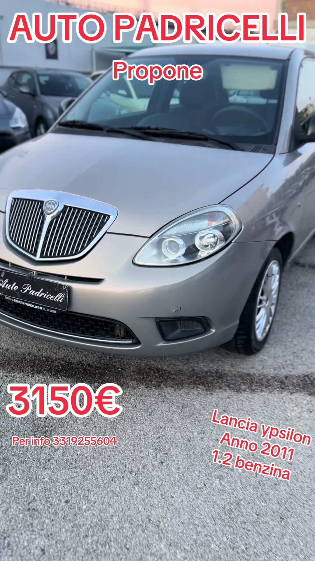 @AutoPadricelli