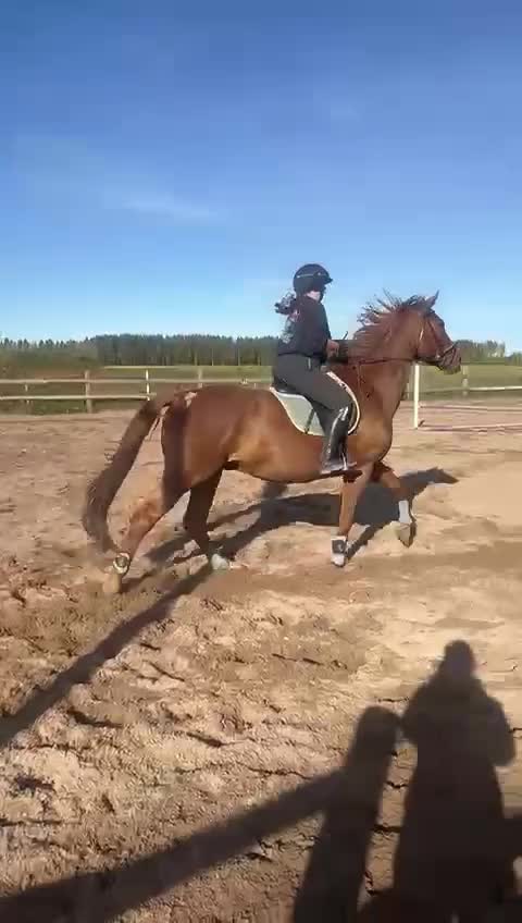 @Petra Ulvi <3