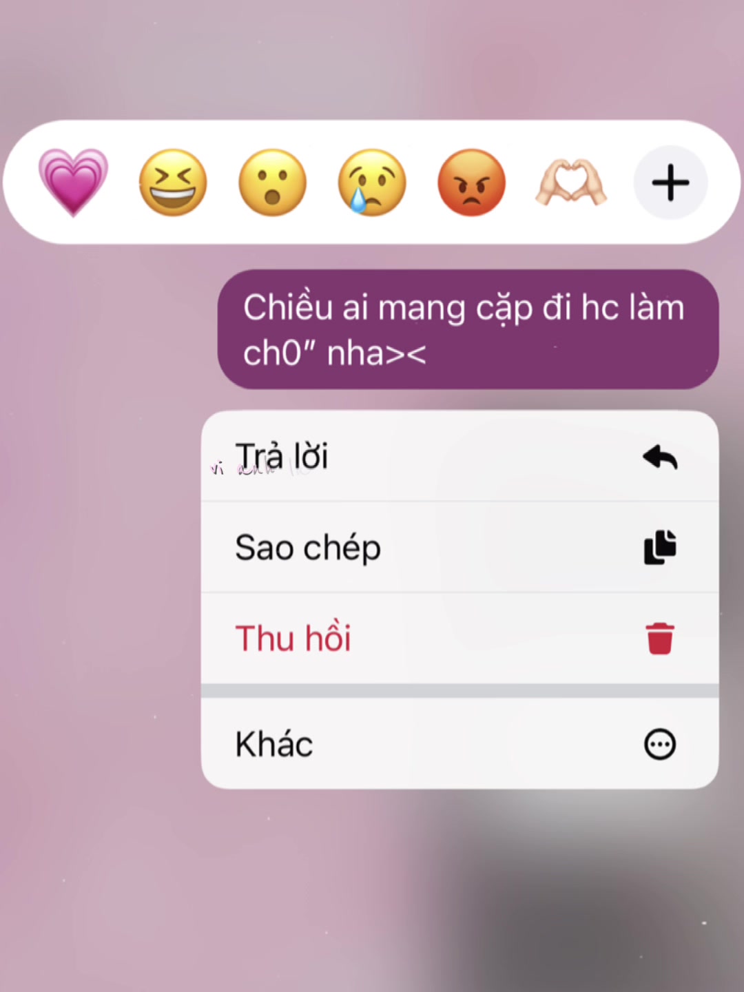 @9c c&aacute;c bố no1