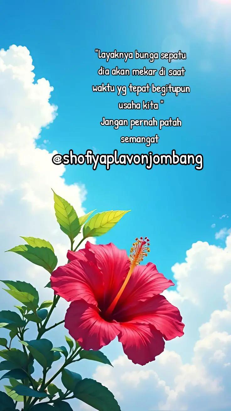 @SHOFIYA
