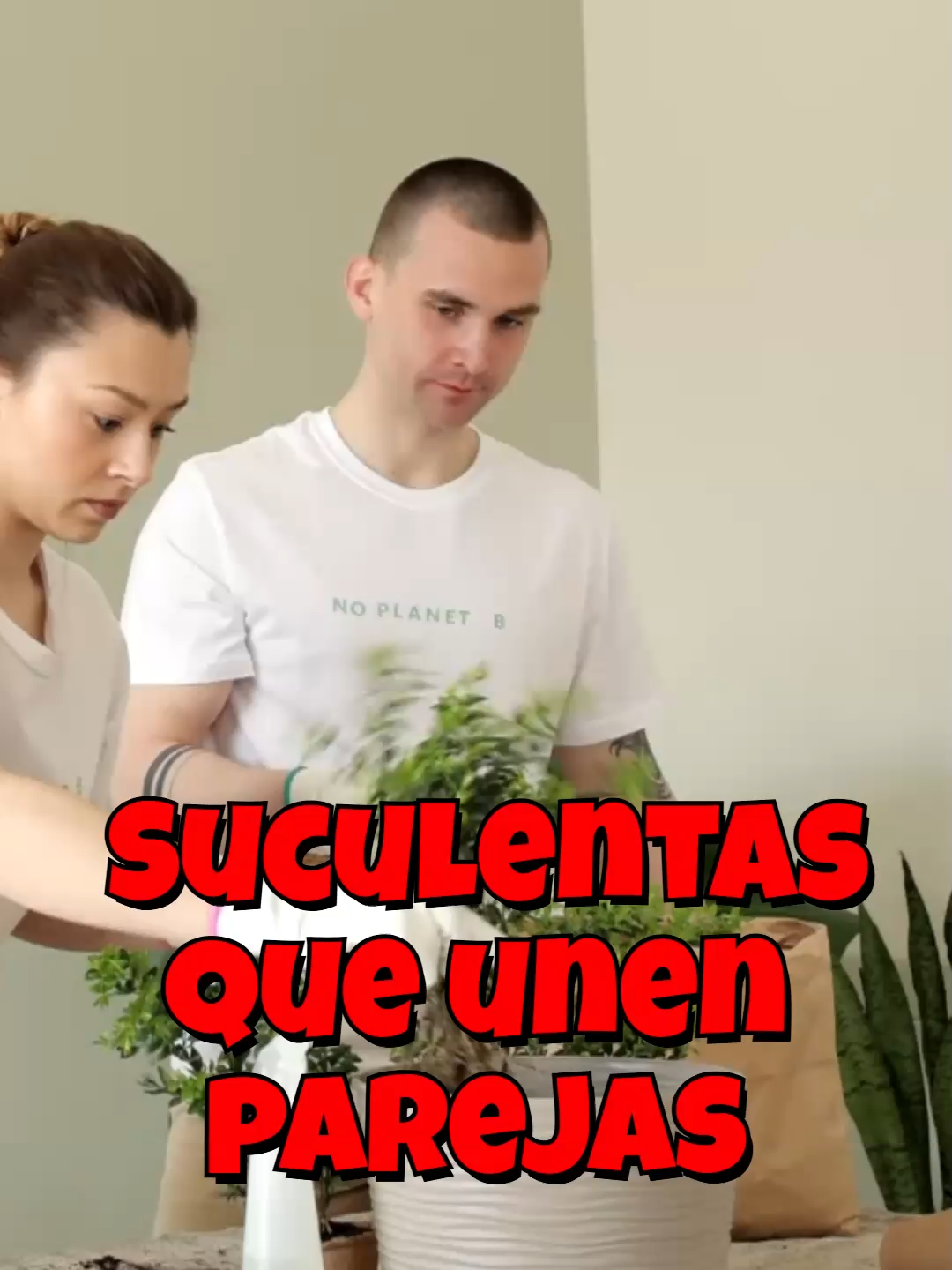 @Cactus y Suculentas