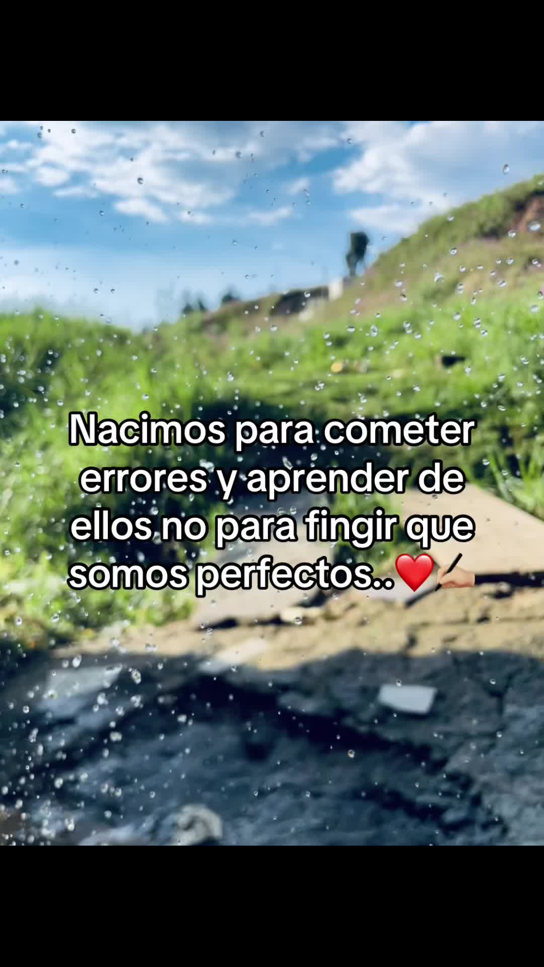 @cn_bris