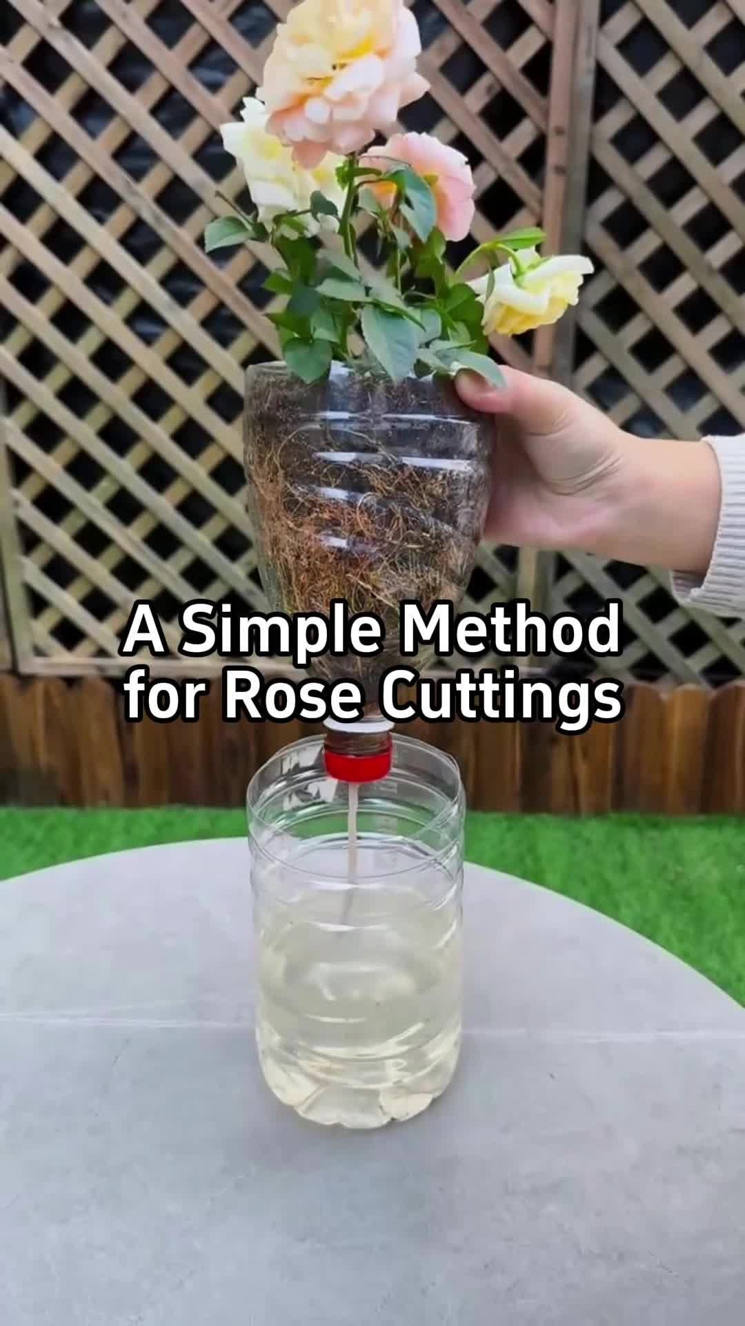 @BotanicKing