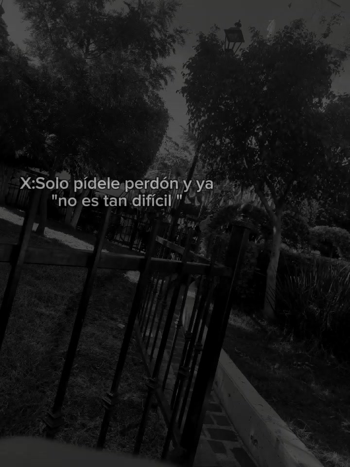 @🤍narnia's (versi&oacute;n)🤍