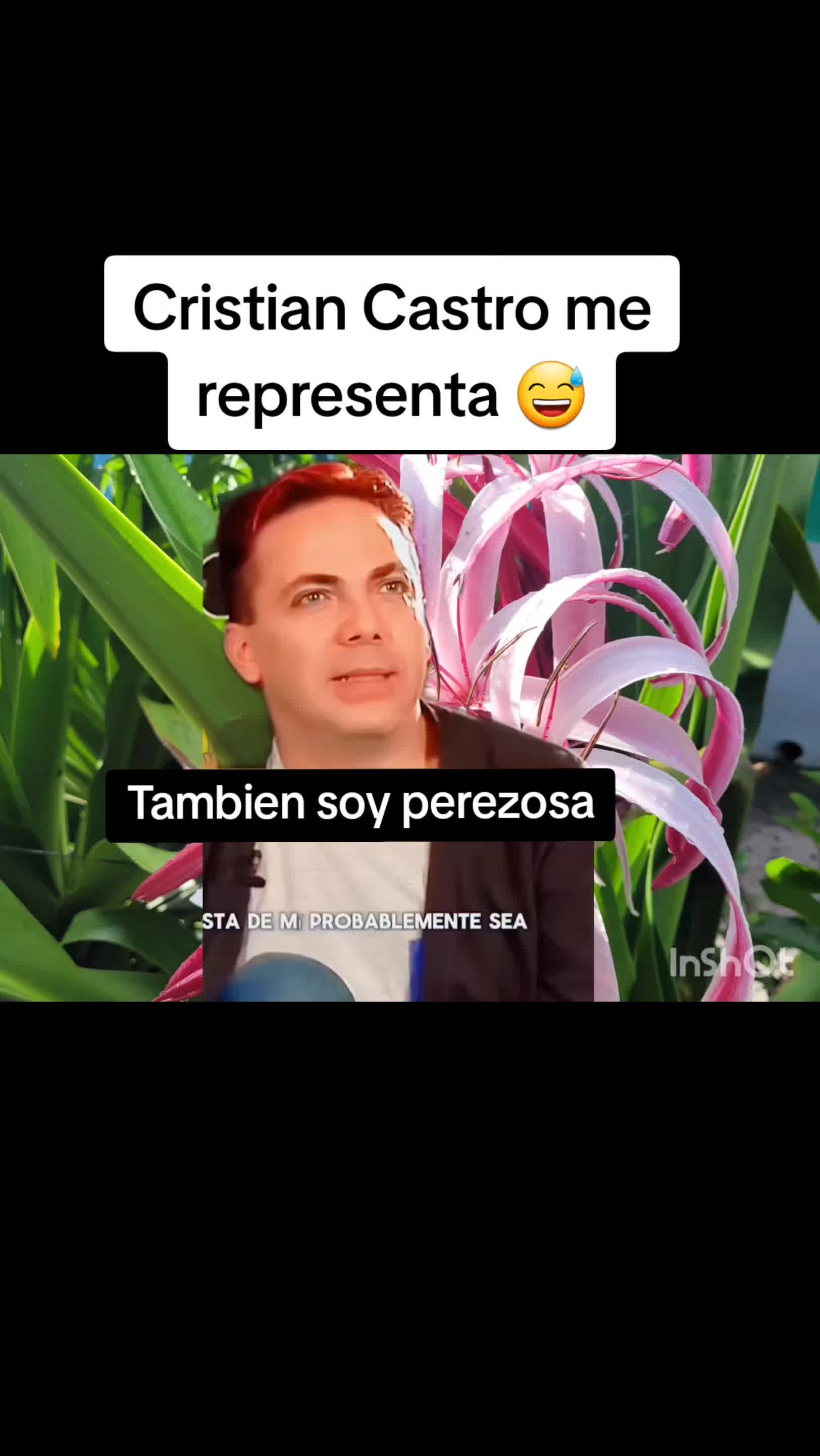 @𝕃𝕚𝕤𝕤 ℝ𝕖yes🇸🇻