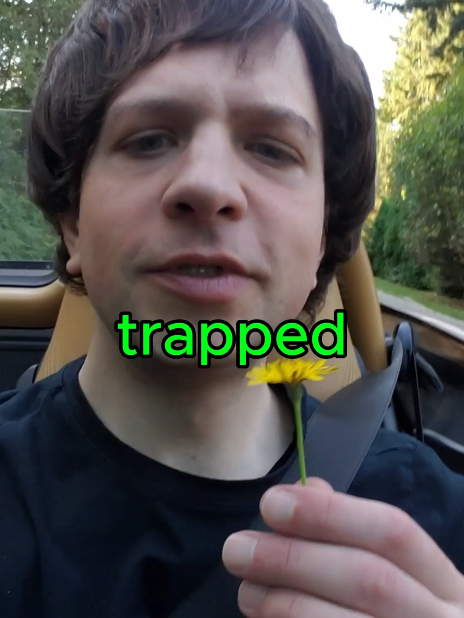 @Cloudfodder