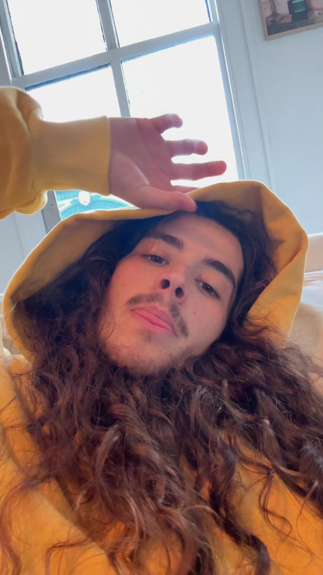 @dyl