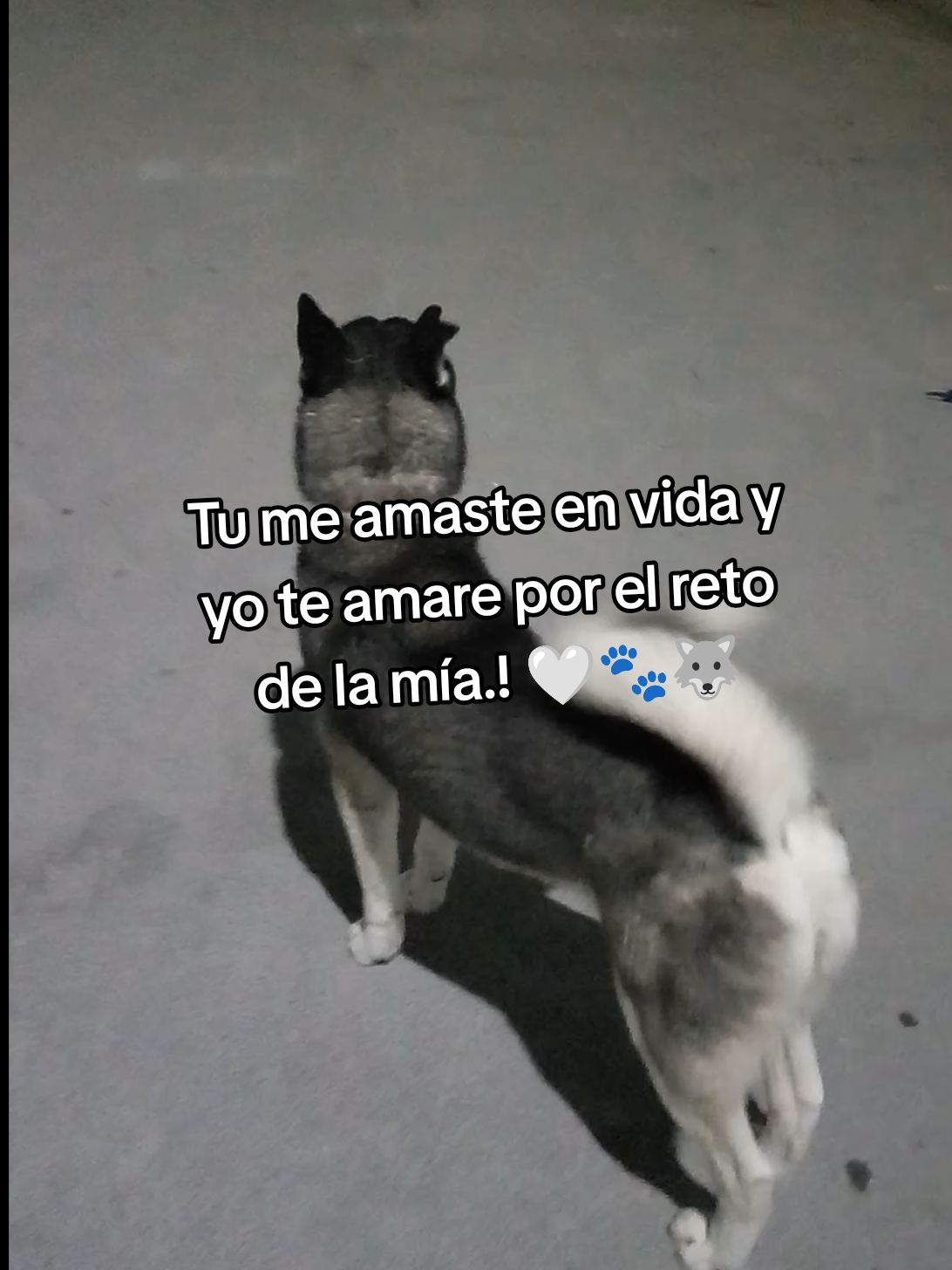 @Betsa