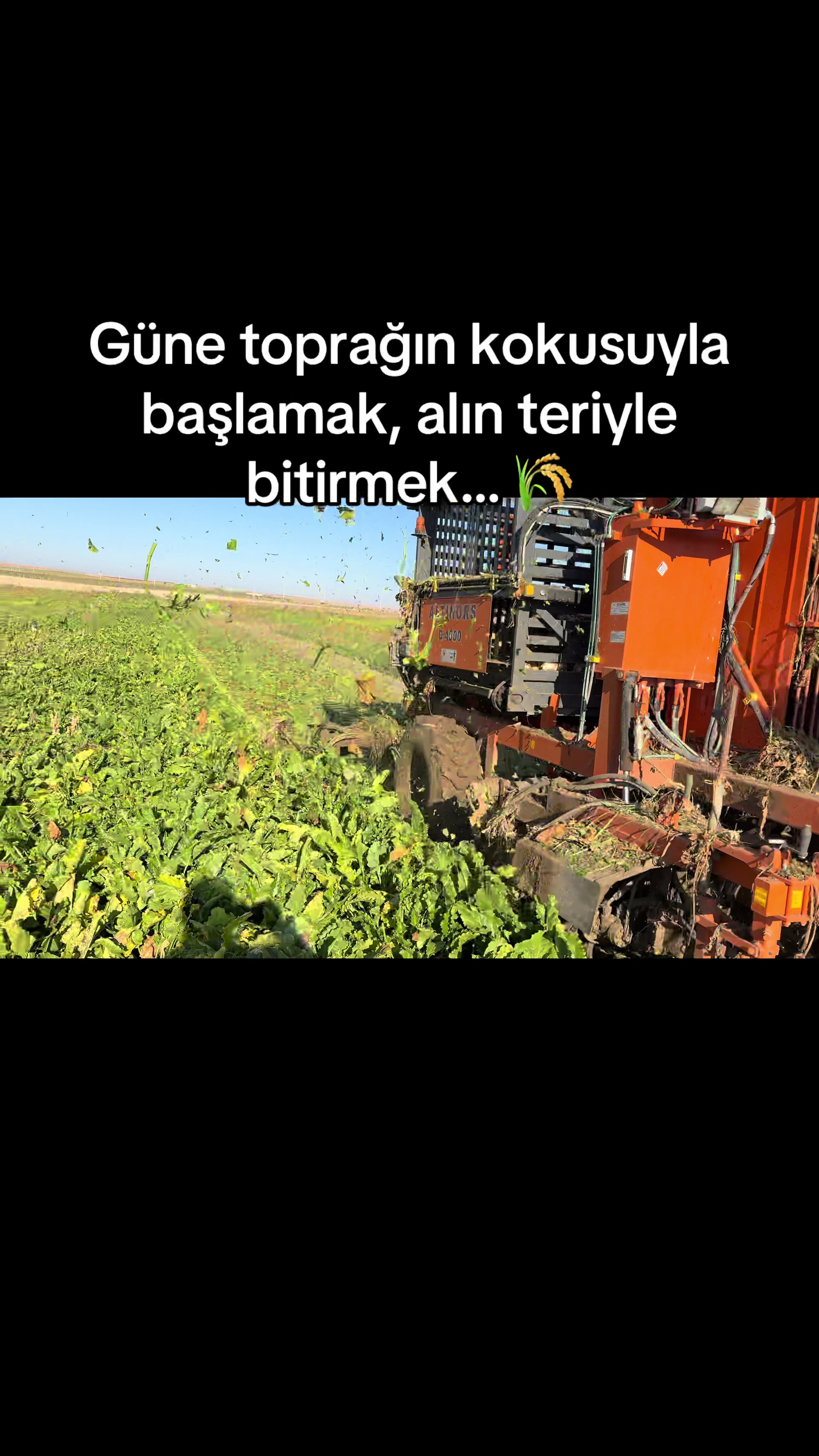 @İsmail EFE