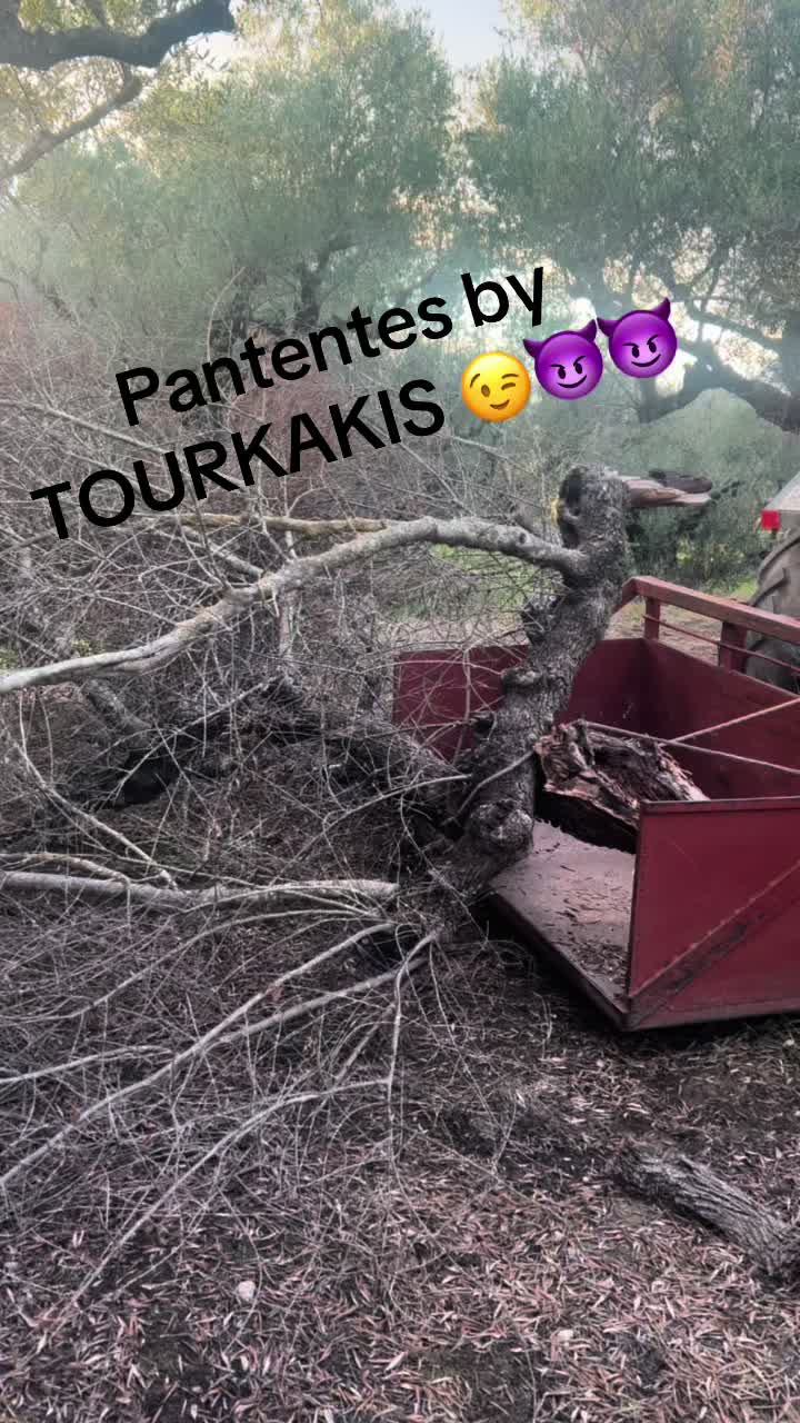@_NIKOLAOS_TOURKAKIS_