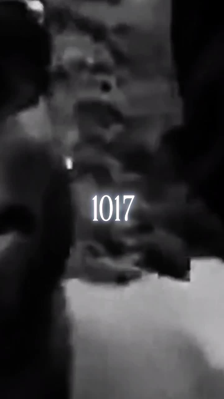 @S  L  X  M  E 🦅