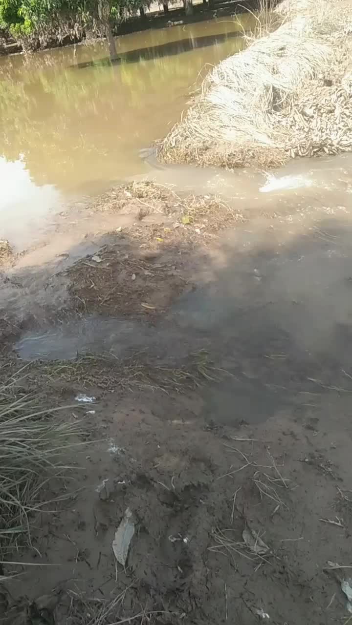 @Malik Bhai8423