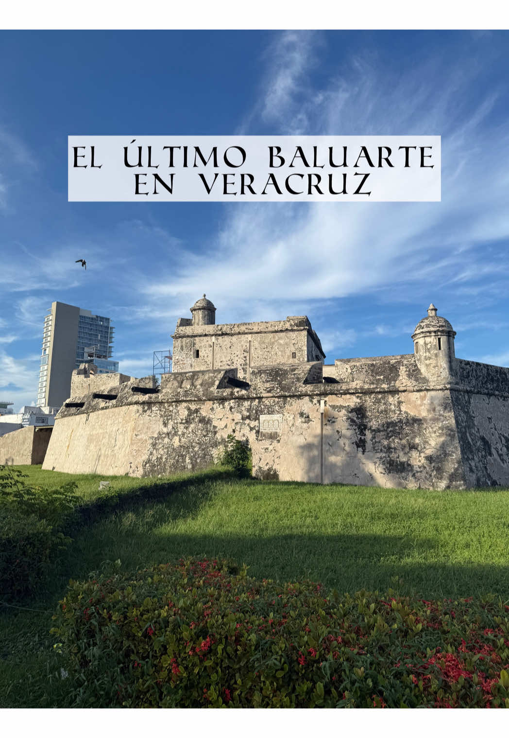 @Historia Para Flojos