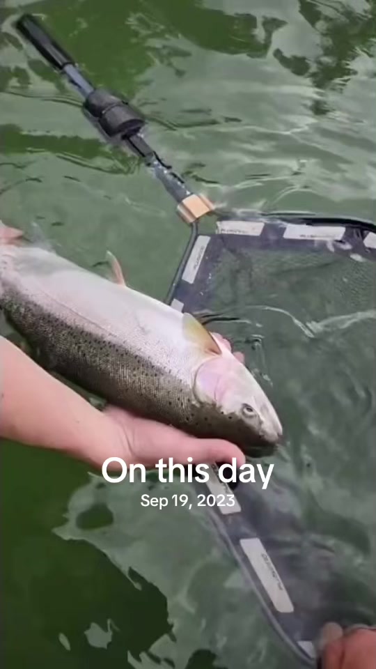 @Jared fishing BC