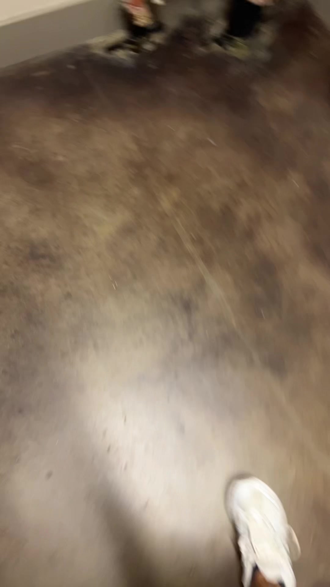 @TobiasinSync