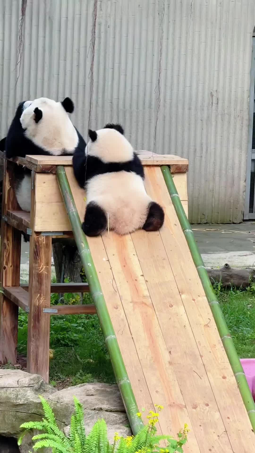 @SneakyFails