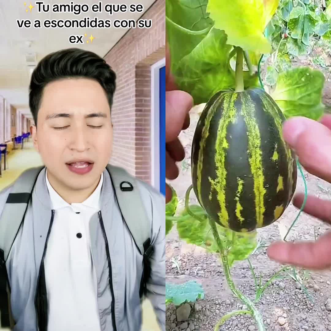 @rke3ouewt4