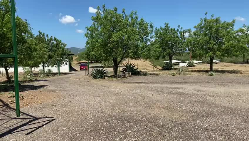 @Mila Burgos Lugo