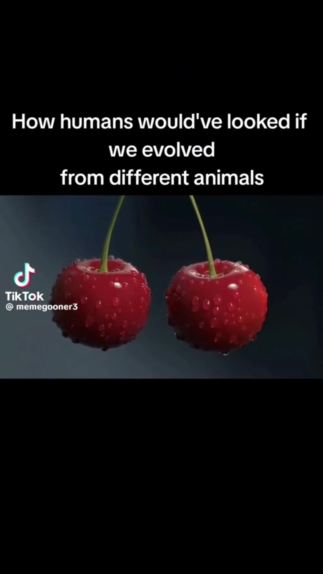 @NickVogelLover28