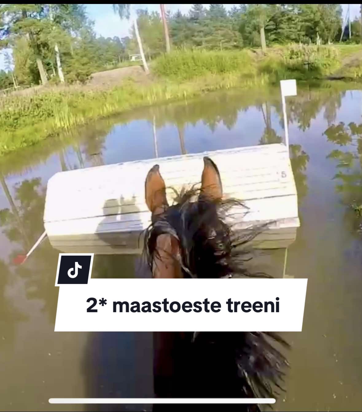@Mansikkamäki Eventing