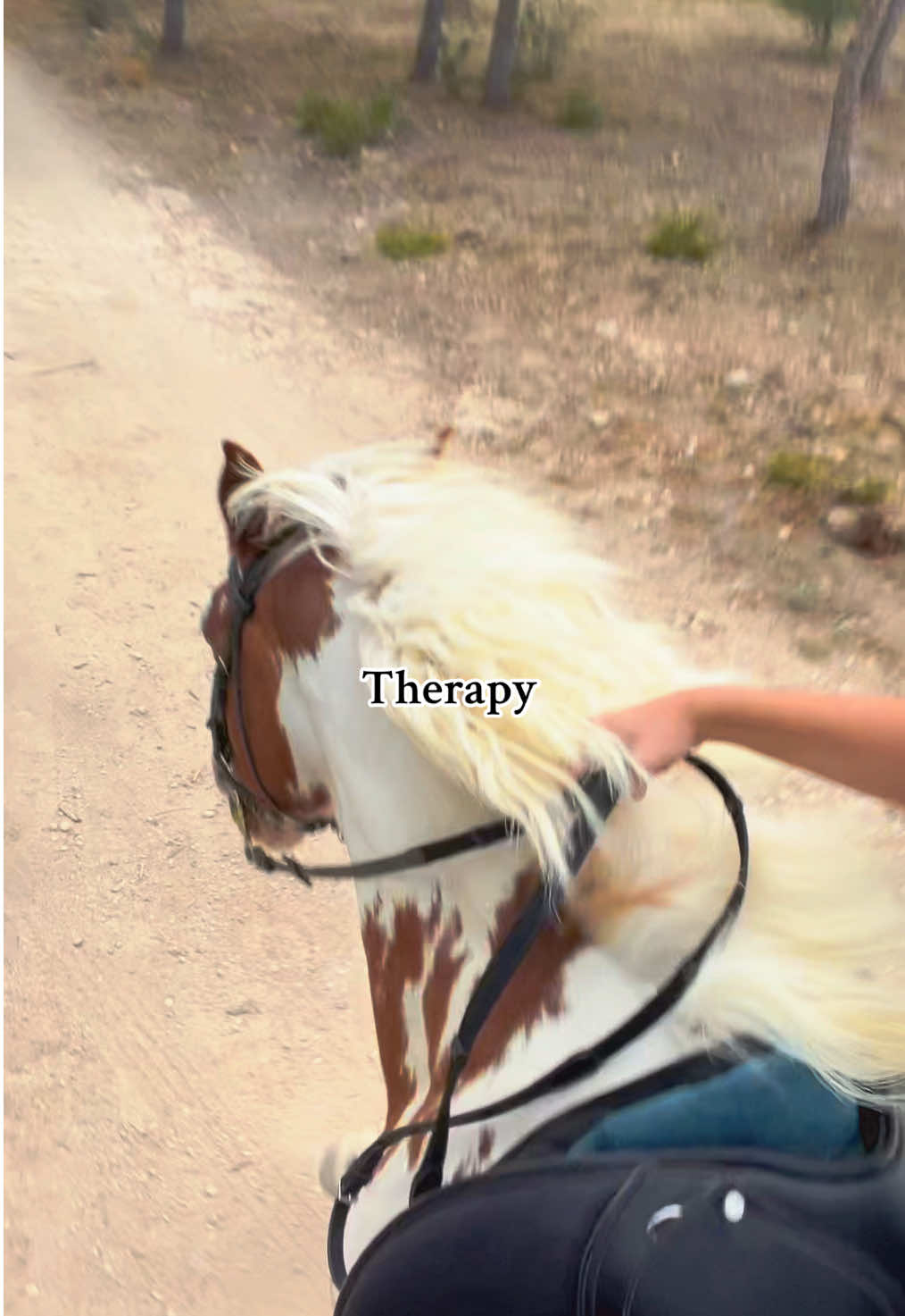@𝕮𝖍𝖆𝖘𝖊
