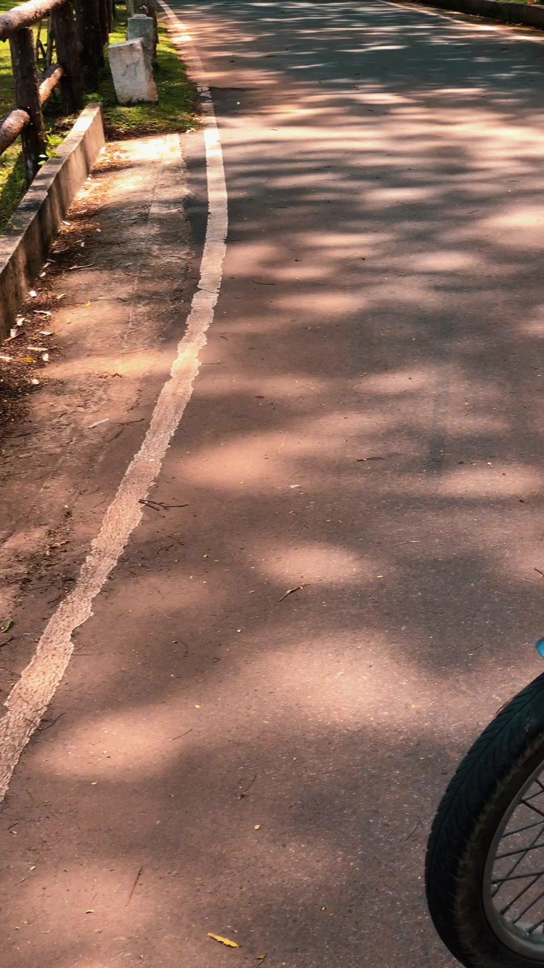 @Anjali madumali