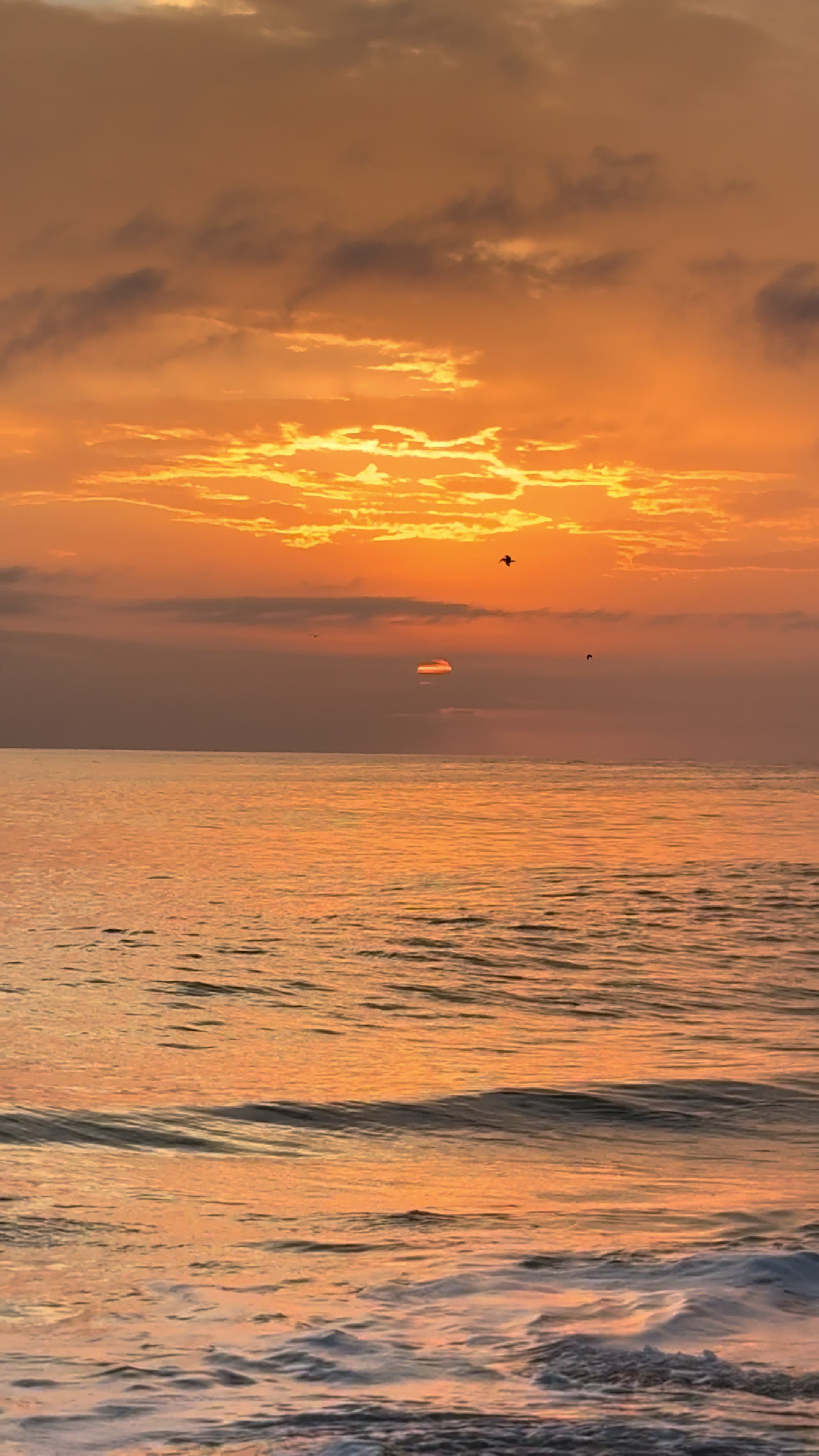 @Relaxing Ocean Sounds