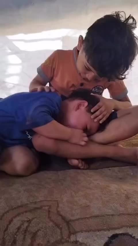 @hayedehSed