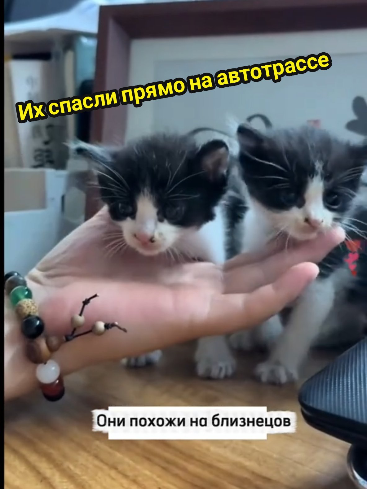 @Niremusss