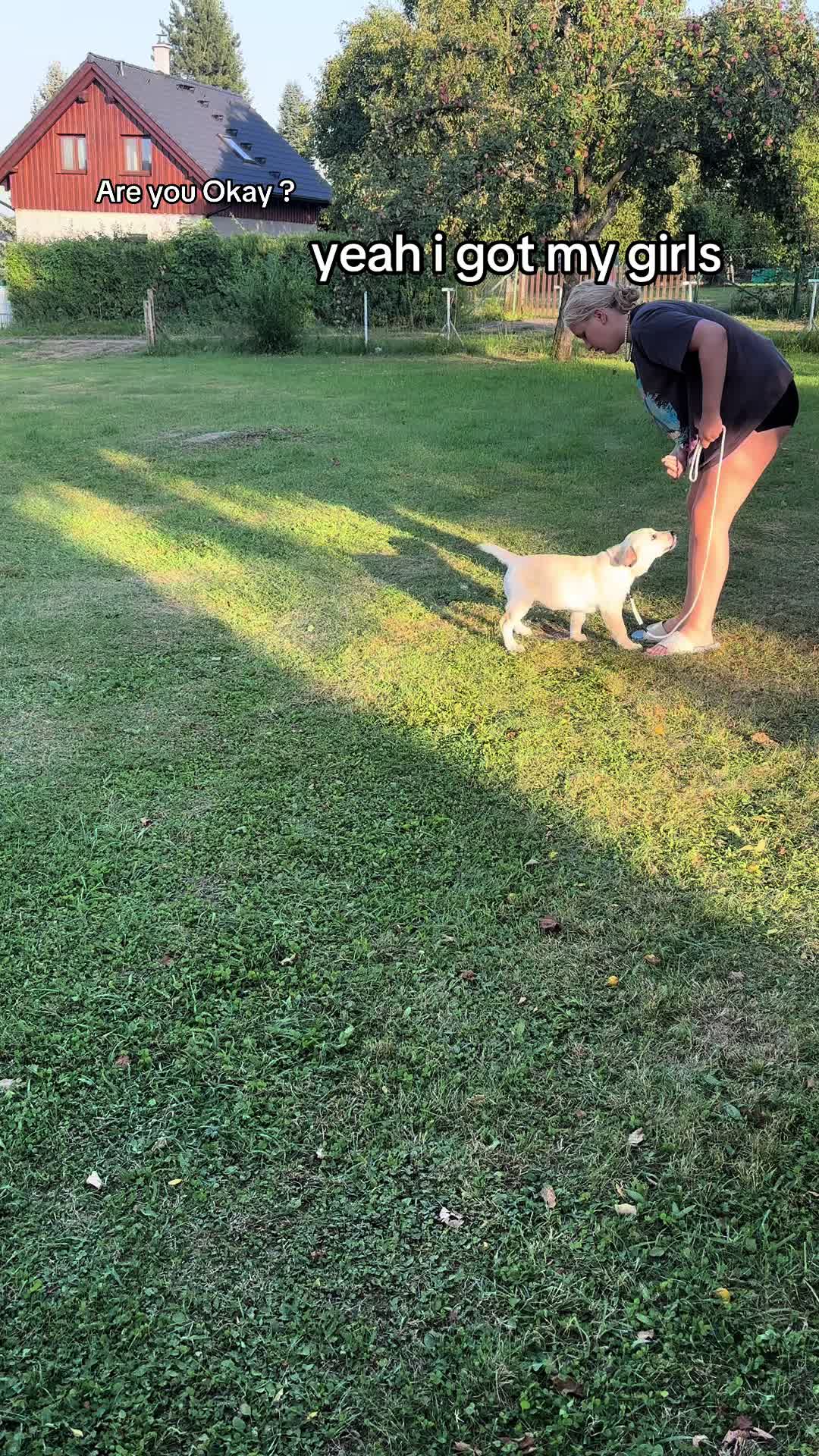 @labradors_gang_plus_one