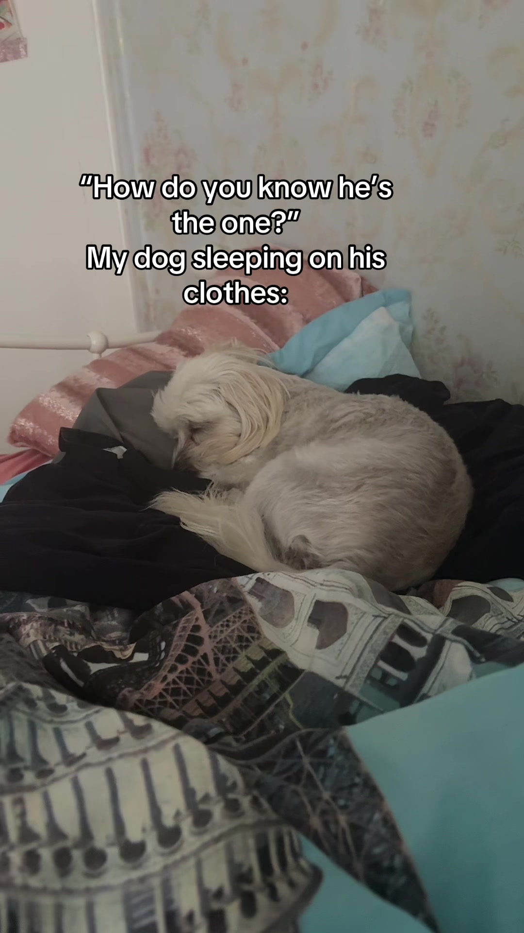 @Bella & Chitzi