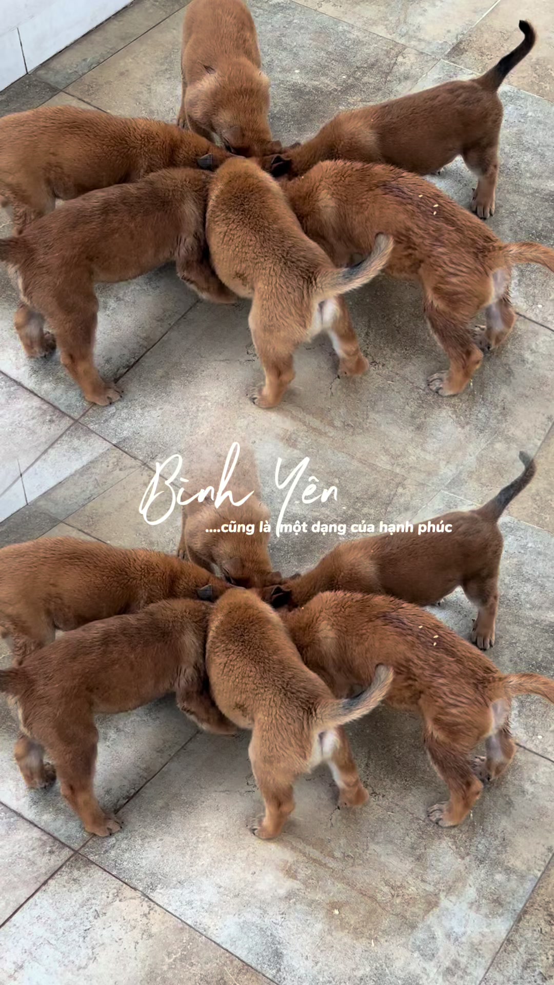 @Hải Dương