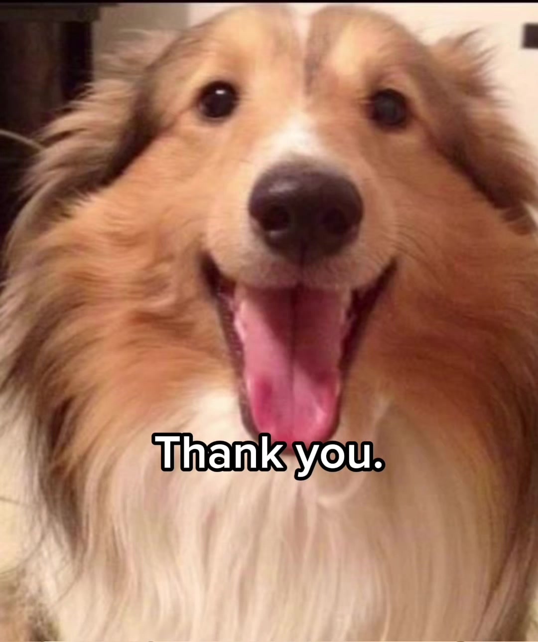 @☆𝗟e𝗢