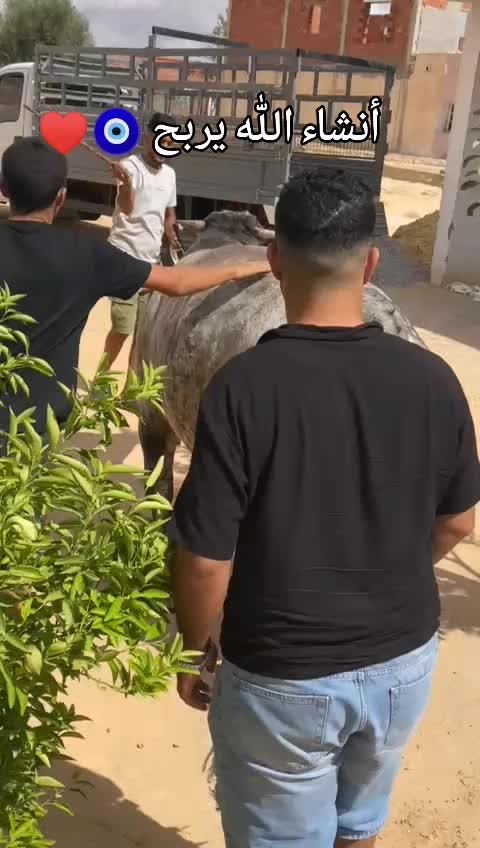 @&Eacute;uchi R&acirc;b&igrave;&icirc;