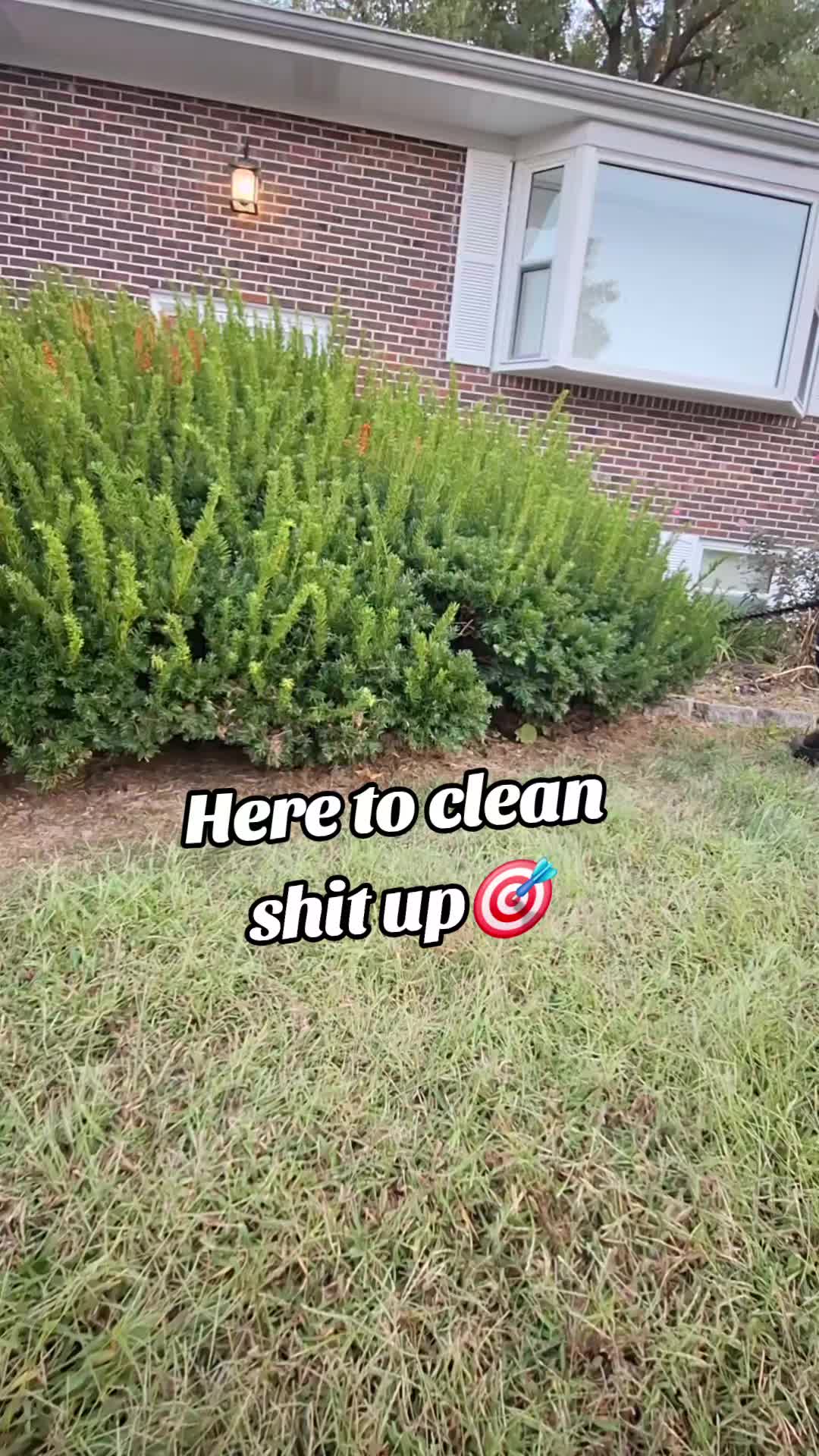 @Stripeleader