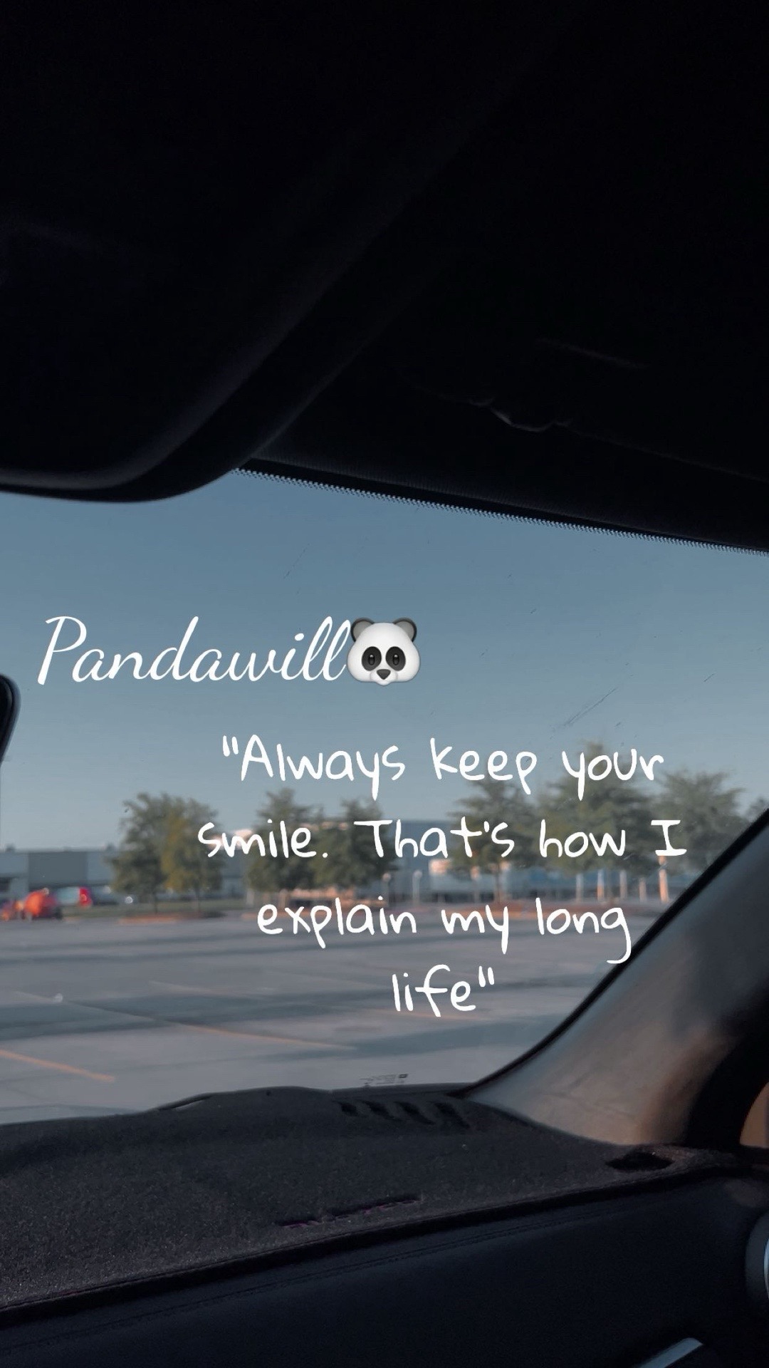 @👑Pandawill🐼