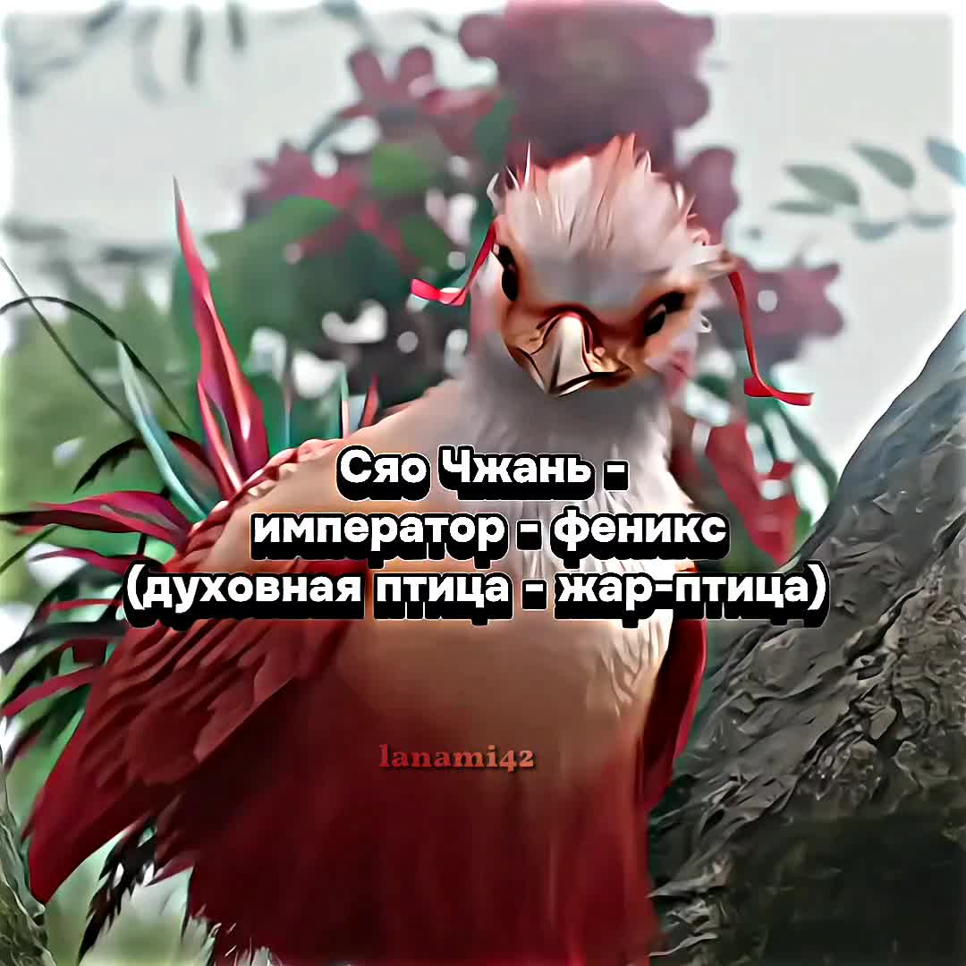 @Mami Лу💓🐰