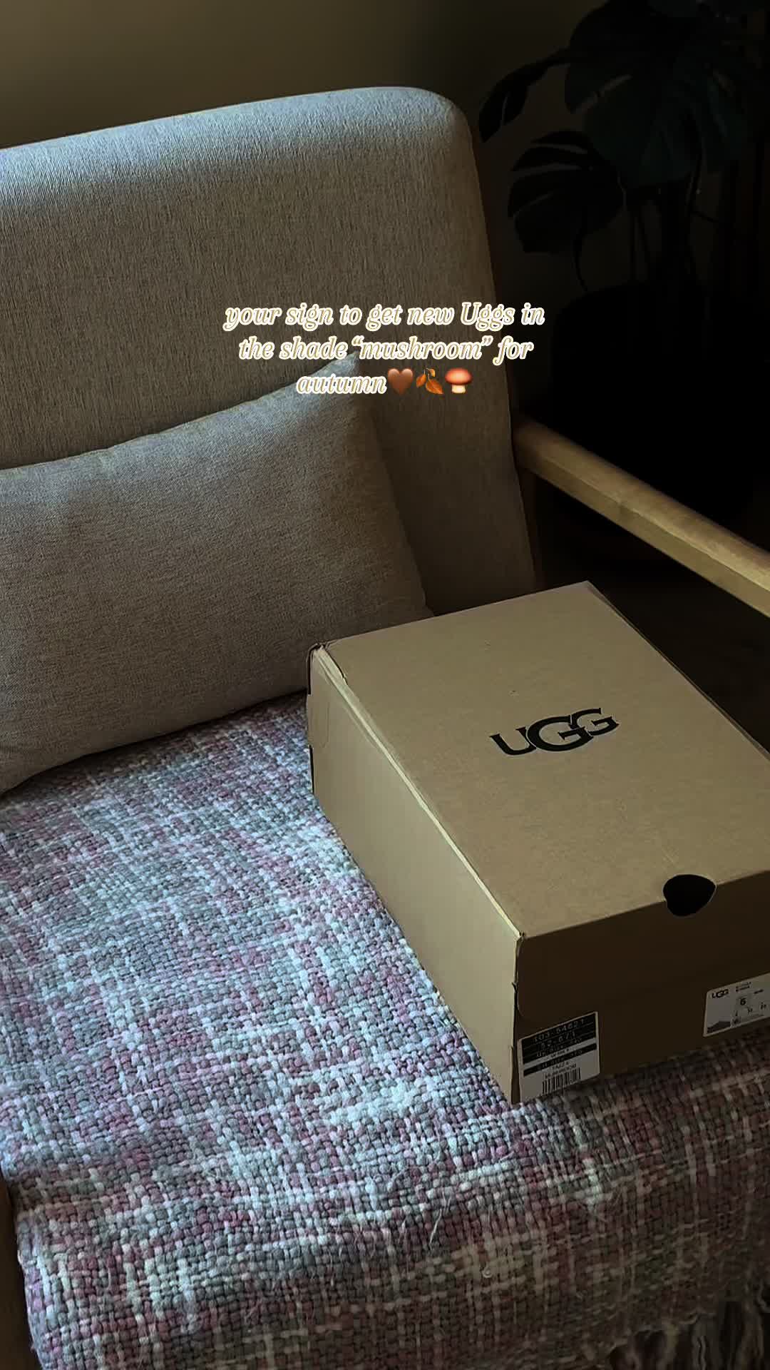 @julesgillies