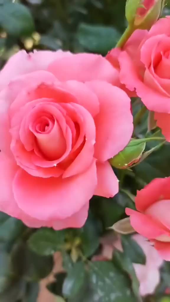 @aikyz_2