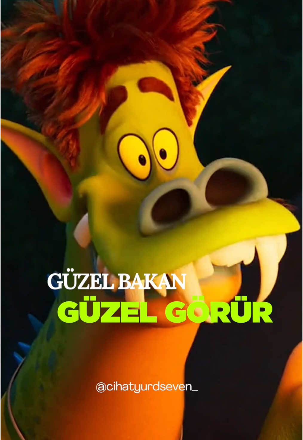 @Cihat