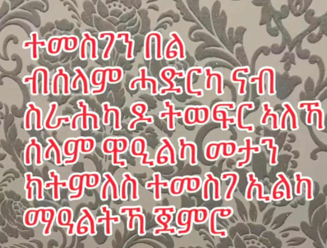 @ወዲ ሎጎ ጭዋ. (ሓወ አብረሀት)