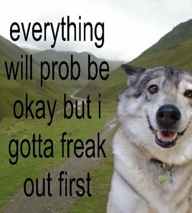 @vilv