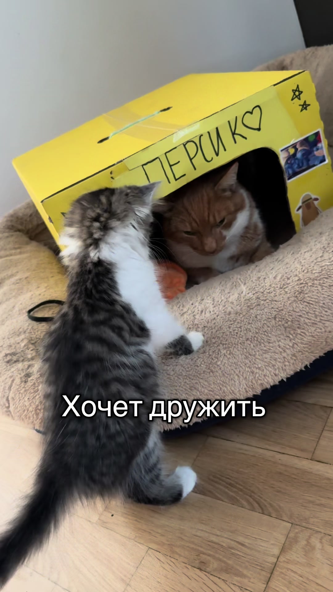 @Nastya 👱🏽&zwj;♀️