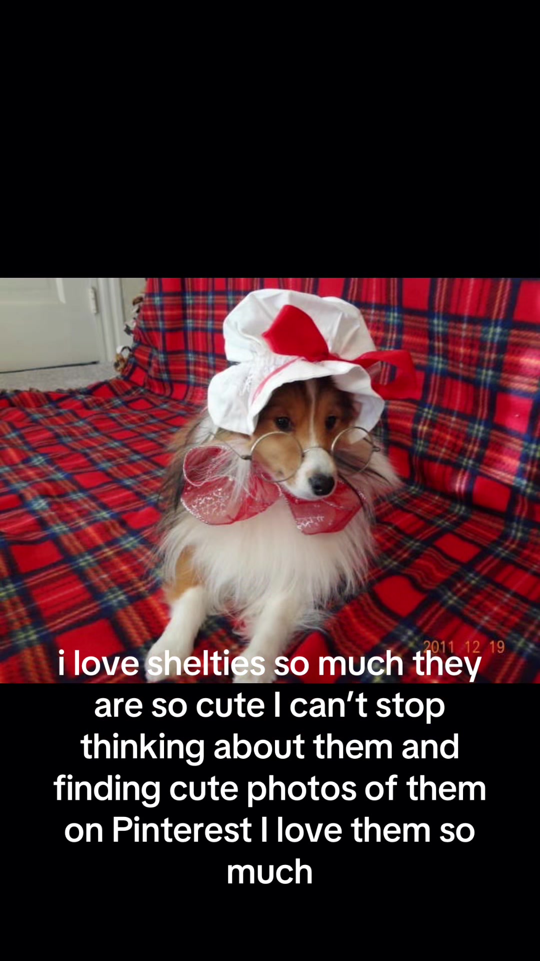 @ghostieballs