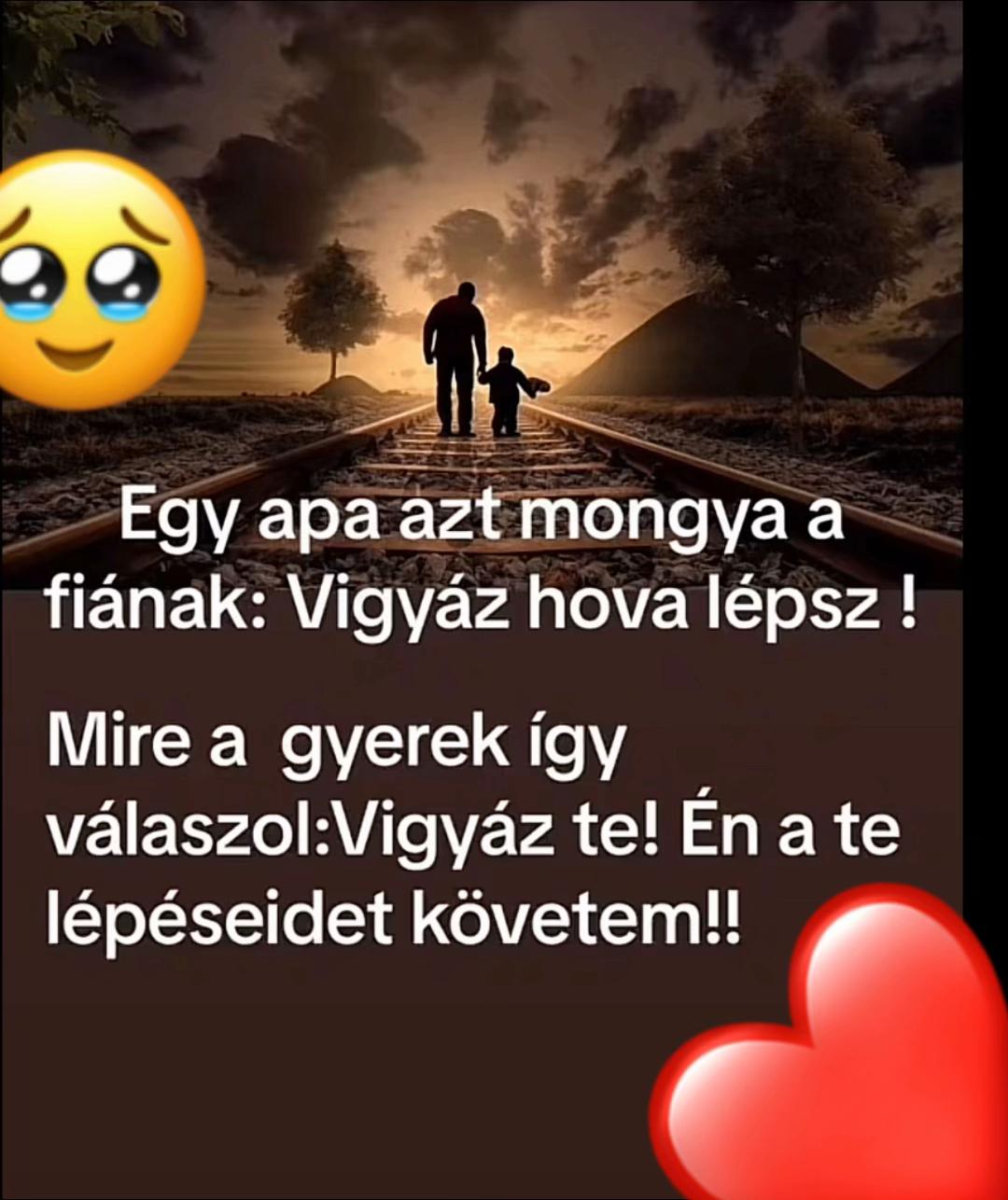 @Horv&aacute;th Rajmund